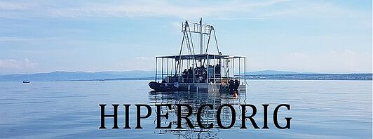 Hipercorig