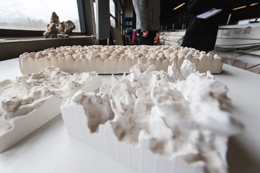 Modelle von Austernriffen aus dem 3-D-Drucker