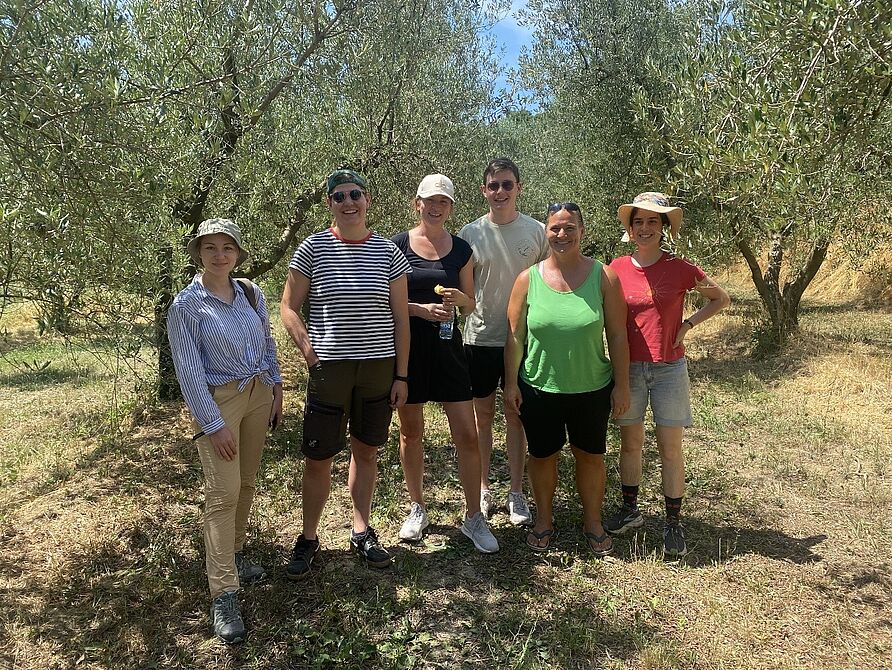 Bowi-Team im Olivenhain