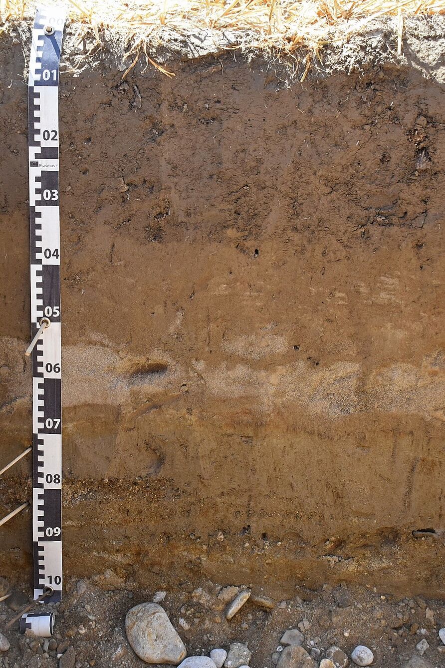 Calcaric Stagnic Pantofluvic FLUVISOL (Polyarenic, Polyloamic, Aric, Humic)