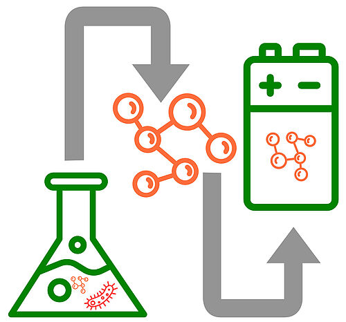 Biotechnologische Produktion von Biopolymeren für die Anwendung in nachhaltigen Batterien