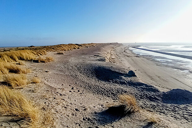 Küstenregionen werden sich durch den Klimawandel und seine Auswirkungen stark verändern. Hier ein Blick auf die Küste der Insel Spiekeroog.