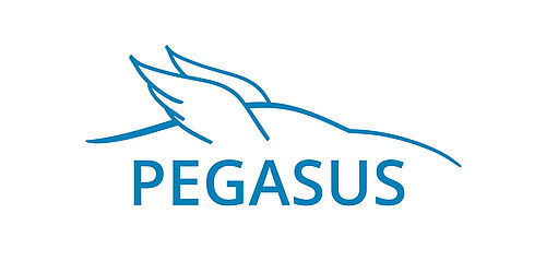 Logo Pegasus