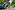 Campuslauf 2024