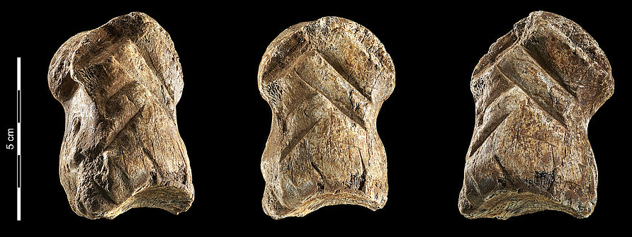 Der ca. 51.000 Jahre alte, verzierte Riesenhirschknochen von der Einhornhöhle