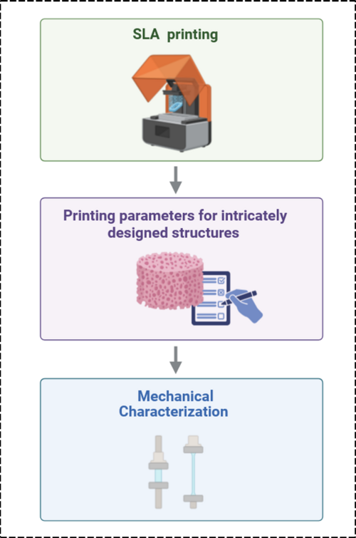 Pictures Illustrating SLA-Based 3D Printing of Hydrogel Microfluidic Systems for Perfusion Bioreactors