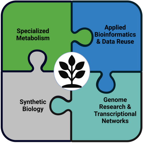 PBB research overview