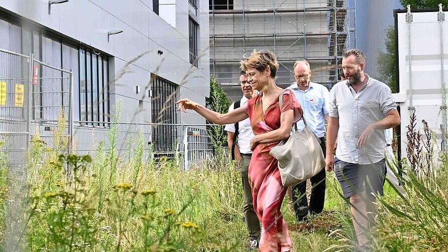 NFF-Hauptversammlung im Juli 2026