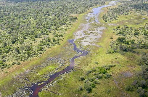 Foto des Okavango Flusses