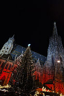 Der Wiener Dom bei Nacht und rot angestrahlt. Im Vordergrund steht ein beleuchteter Weihnachtsbaum.