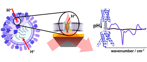 TOC https://doi.org/10.1002/anie.202309069
