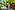 Campuslauf 2024