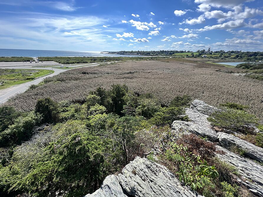 Blick vom Norman Bird Sanctuary nach Newport