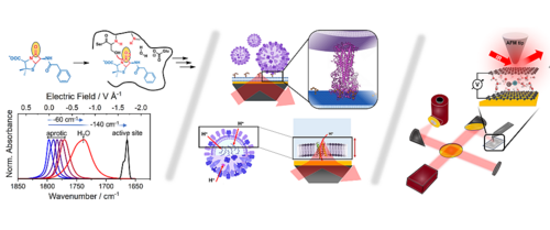 TOC DOI: 10.26125/pxp4-p755