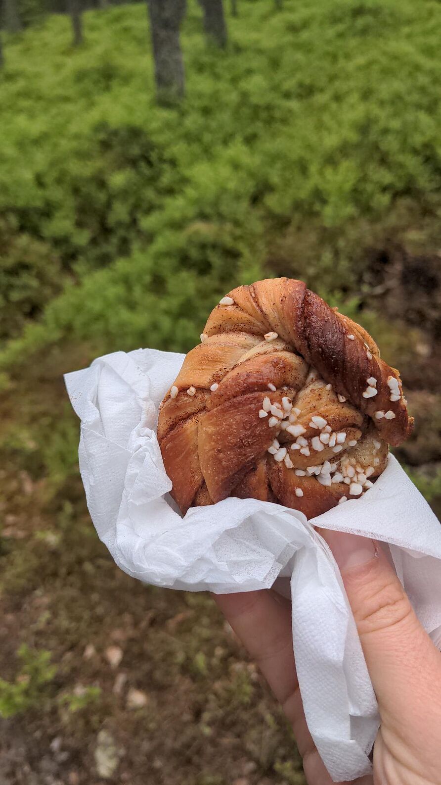 Zimtschnecke