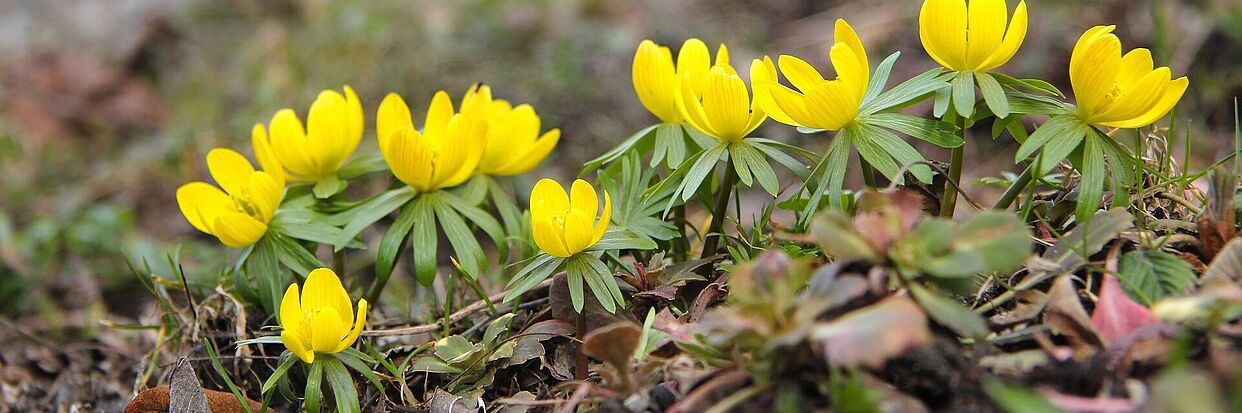 [Translate to English:]  