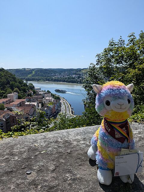 Leonie mit Assicht auf Passau