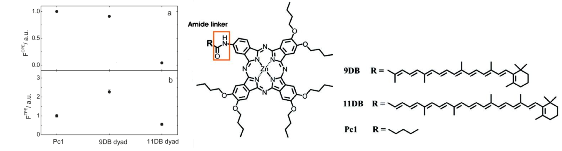 TPE-Graph and Struktures