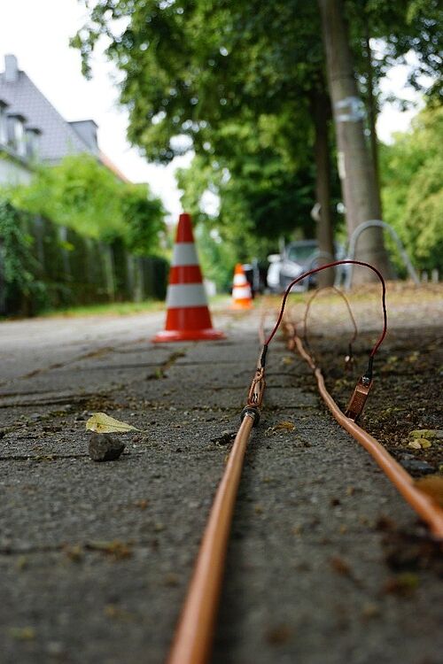 Messprofil entlang einer Baumreihe: Die fest im Boden installierten Elektroden sind über Verbindungskabel mit dem Messkabel verbunden, das die Signale an das Messgerät überträgt 