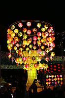 Ein nächtlicher Blick auf das Mondfest in Hongkong. Ein Baum hängt voll mit bunten und beleuchteten Papierlaternen.