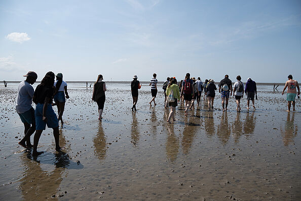 Summer School participants during a hike on the tidal flats.