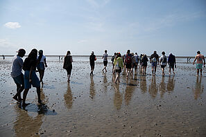 Summer School participants during a hike on the tidal flats.
