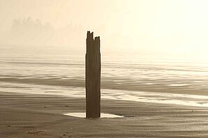 Tides and sand, Vancouver Island