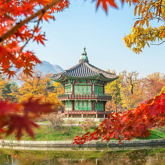 Namsan Park in autumn