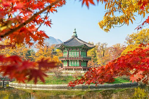 Namsan Park im Herbst