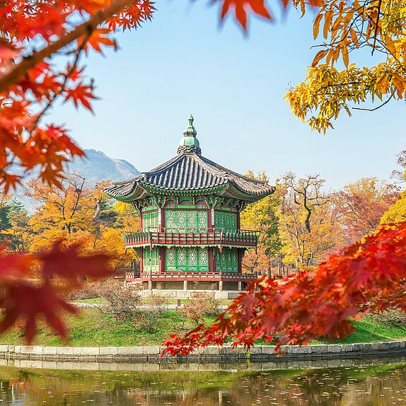 Namsan Park im Herbst