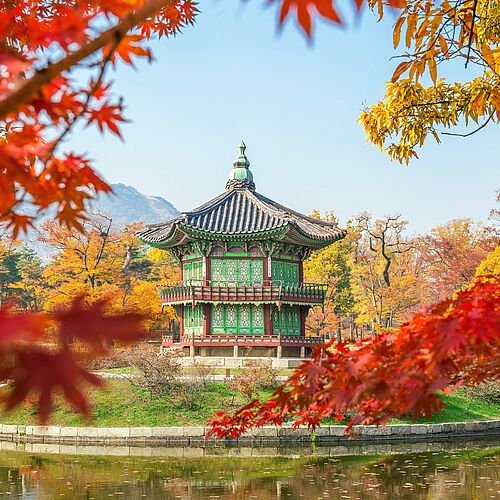 Namsan Park in autumn
