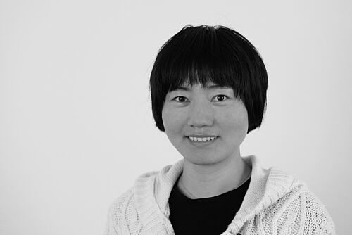 Xiangping Xi