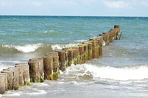Traditional wooden pile groyne