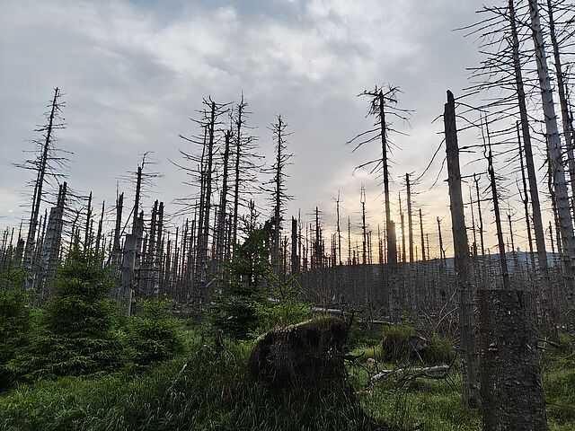Brockenwanderung im Harz