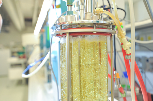 Bioreaktor mit Nährmedium für die Kultivation im Großmaßstab