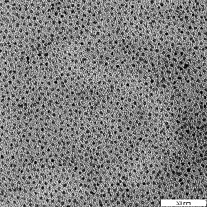 zirconia nanoparticles