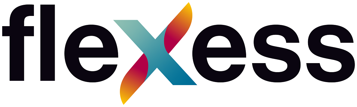 flexess logo