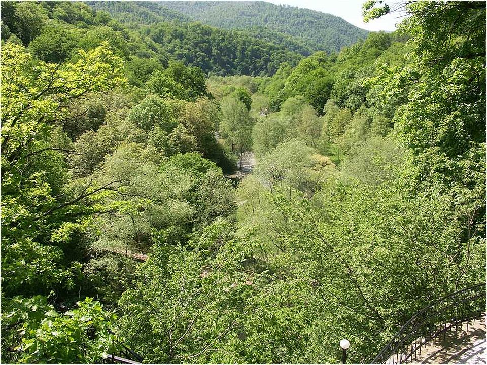 Sommergrüner Laubwald im nördlichen Armenien mit Weichholzaue im Mittelgrund