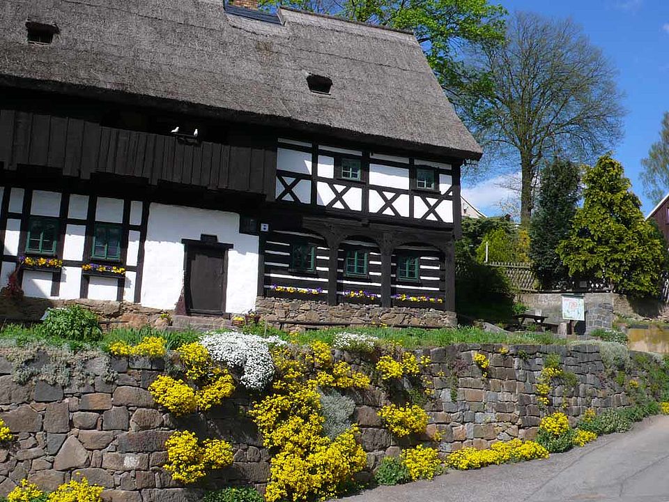 Umgebindehaus (Museum Reiterhof) in Neusalza-Spremberg mit Aurinia saxatilis (Felsen-Steinkraut) und Arabis caucasica (Kaukasische Gänsekresse)