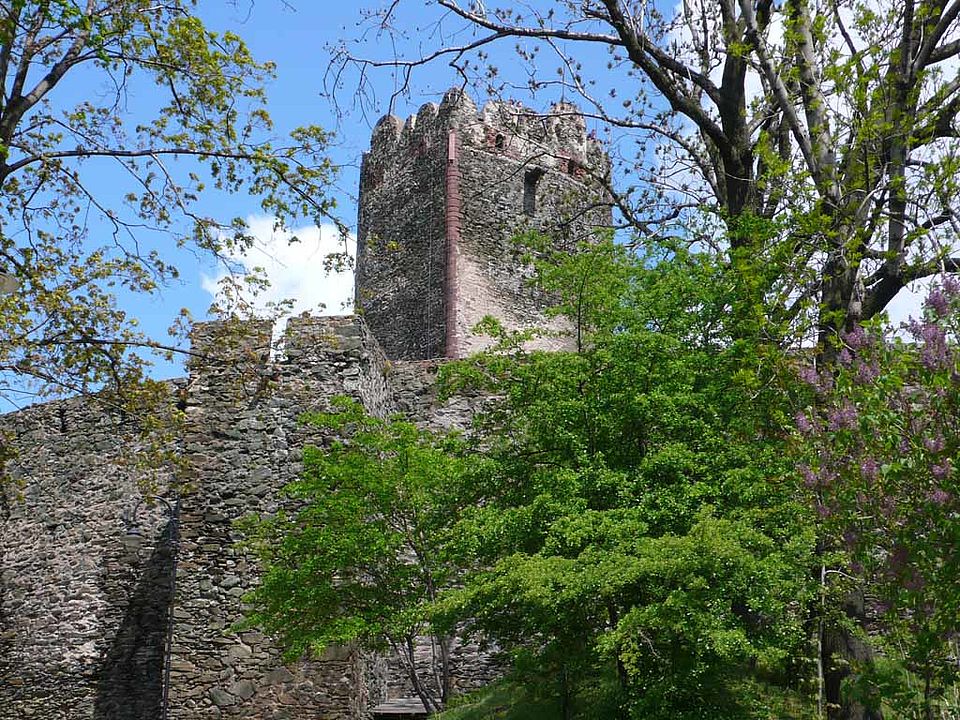 Zamek Bolkow (Bolkoburg)