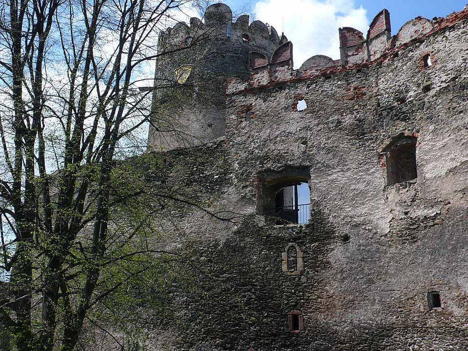 Zamek Bolkow (Bolkoburg)