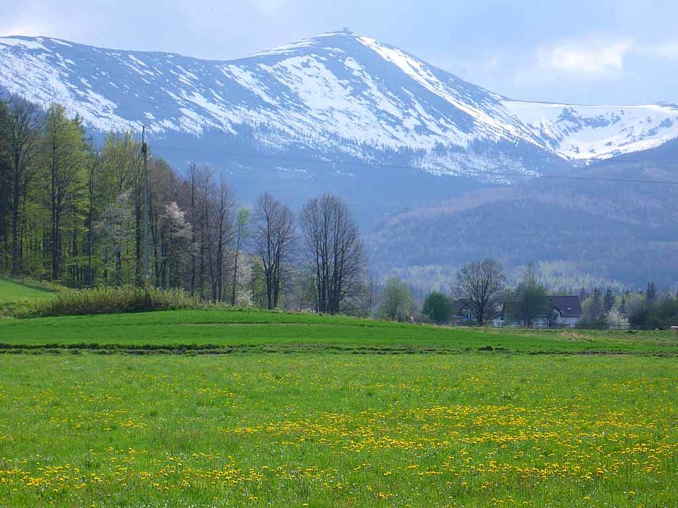 Schneekoppe (Sněžka / Śnieżka): mit 1602 m die höchste  Erhebung des Riesengebirges