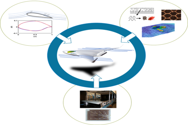 Physics of Laminar Wing and Fuselage