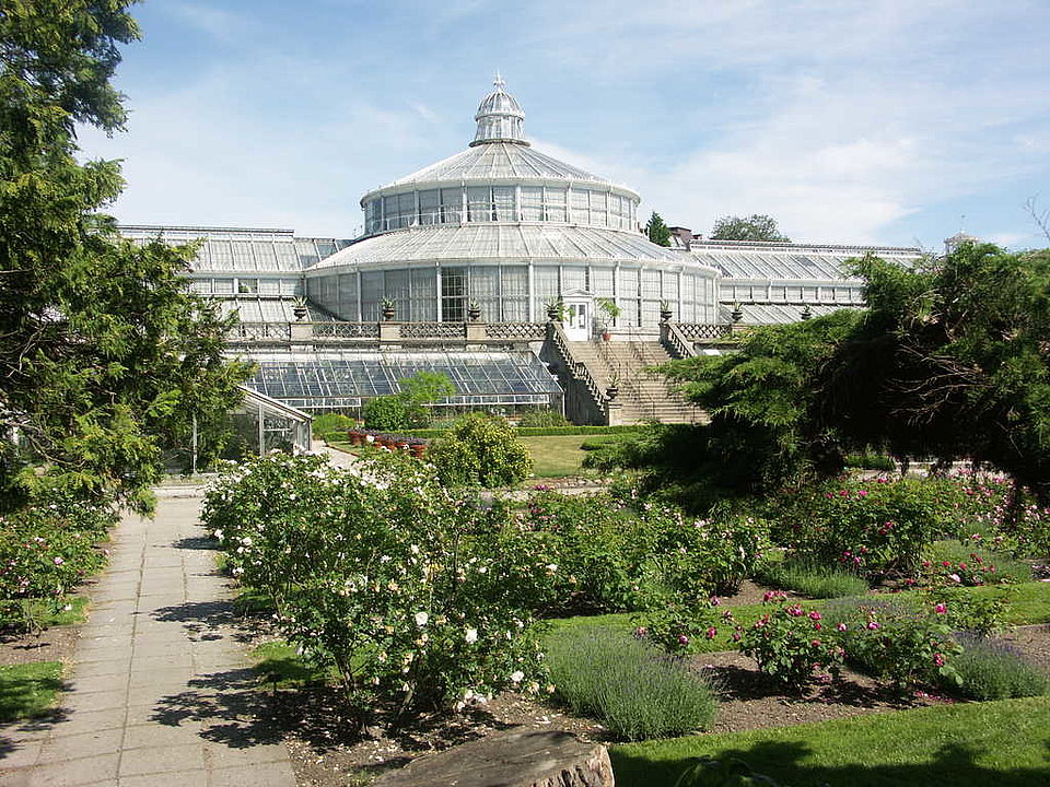 Botanischer Garten Kopenhagen