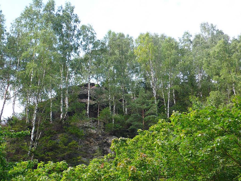 Klippen im Okertal: Waldgrenzstandorte bzw. von Natur aus waldfrei