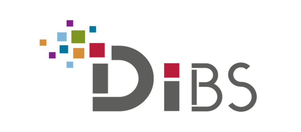 DiBS – Digitale Kompetenzen für die Lehrerbildung an der TU Braunschweig