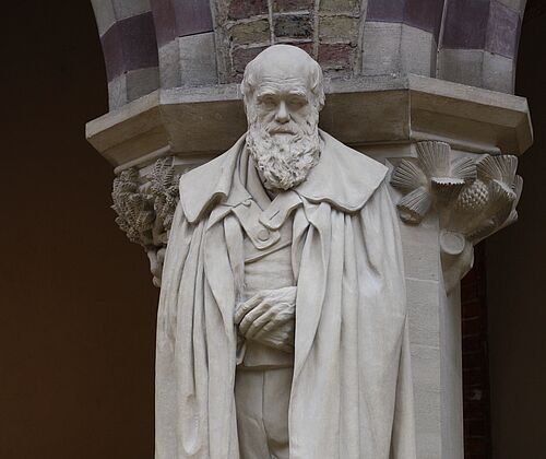 Darwin im Natural History Museum, Oxford
