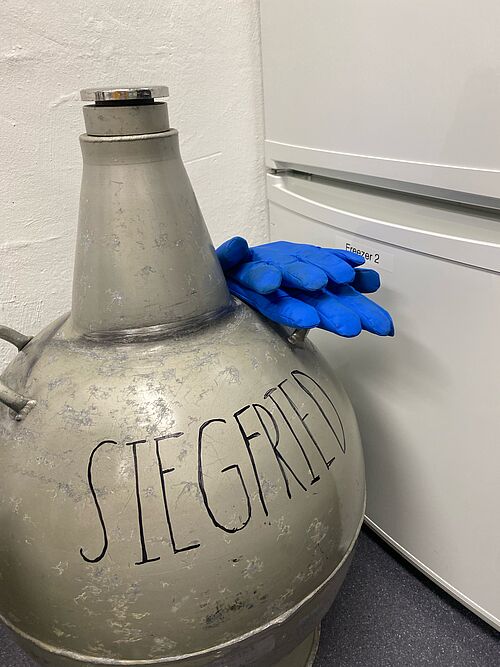 Liquid nitrogen container Siegfried