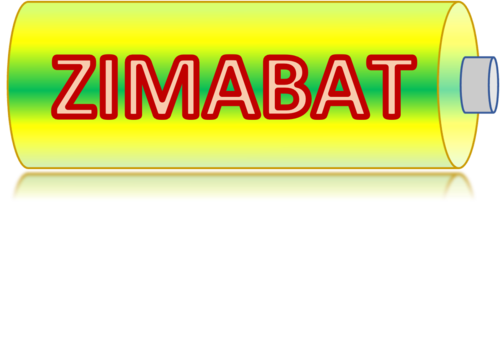 [Translate to English:] ZiMaBat_logo