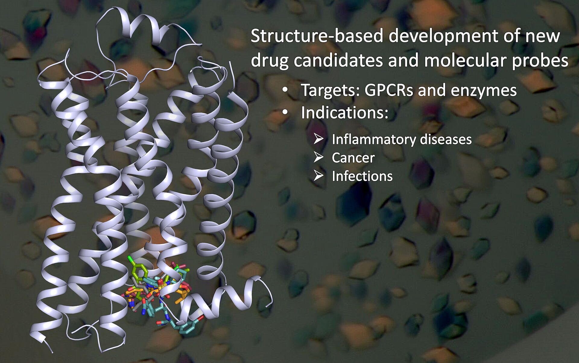 Structure-based development of new drug candidates and molecular probes. Targets: GPCRs and Enzymes. Indications: Inflammaotoy diseases, Cancer, Infections